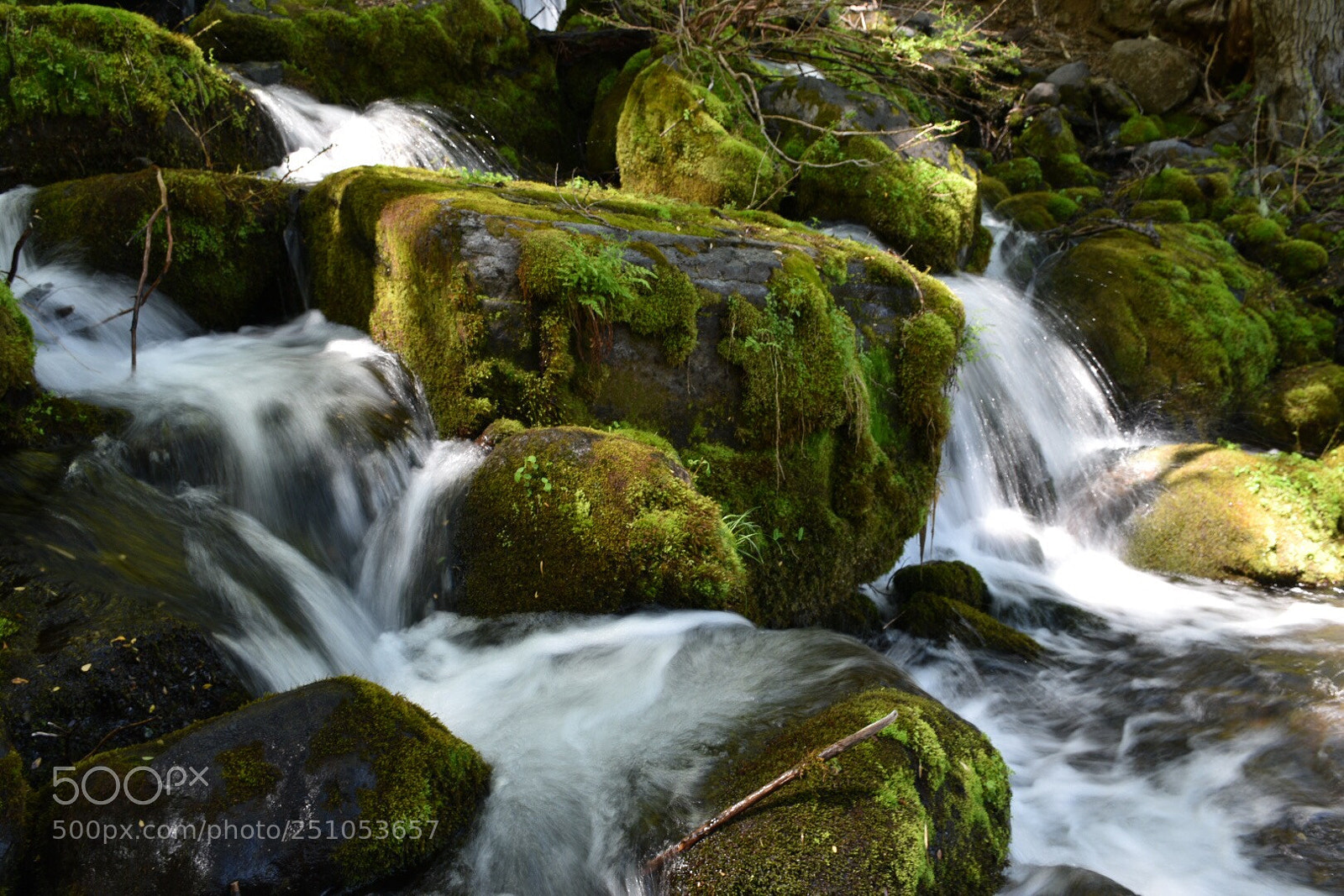 Nikon D5500 sample photo. Termas de chillán. photography
