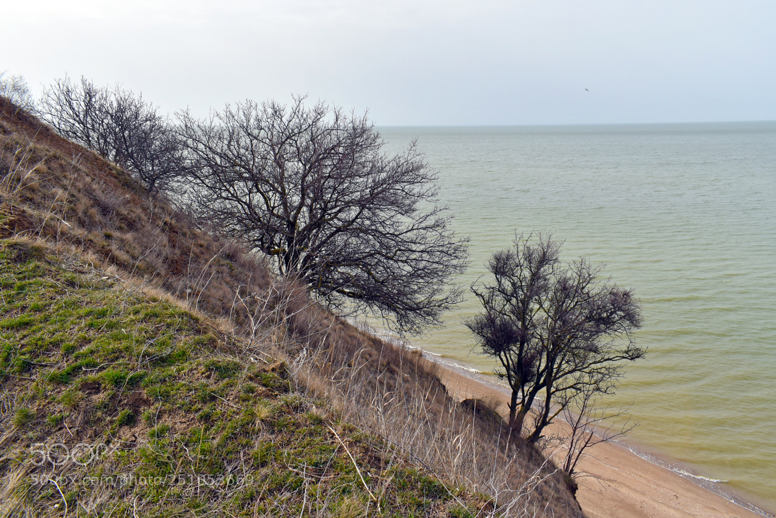 Nikon D5600 sample photo. На берегу photography