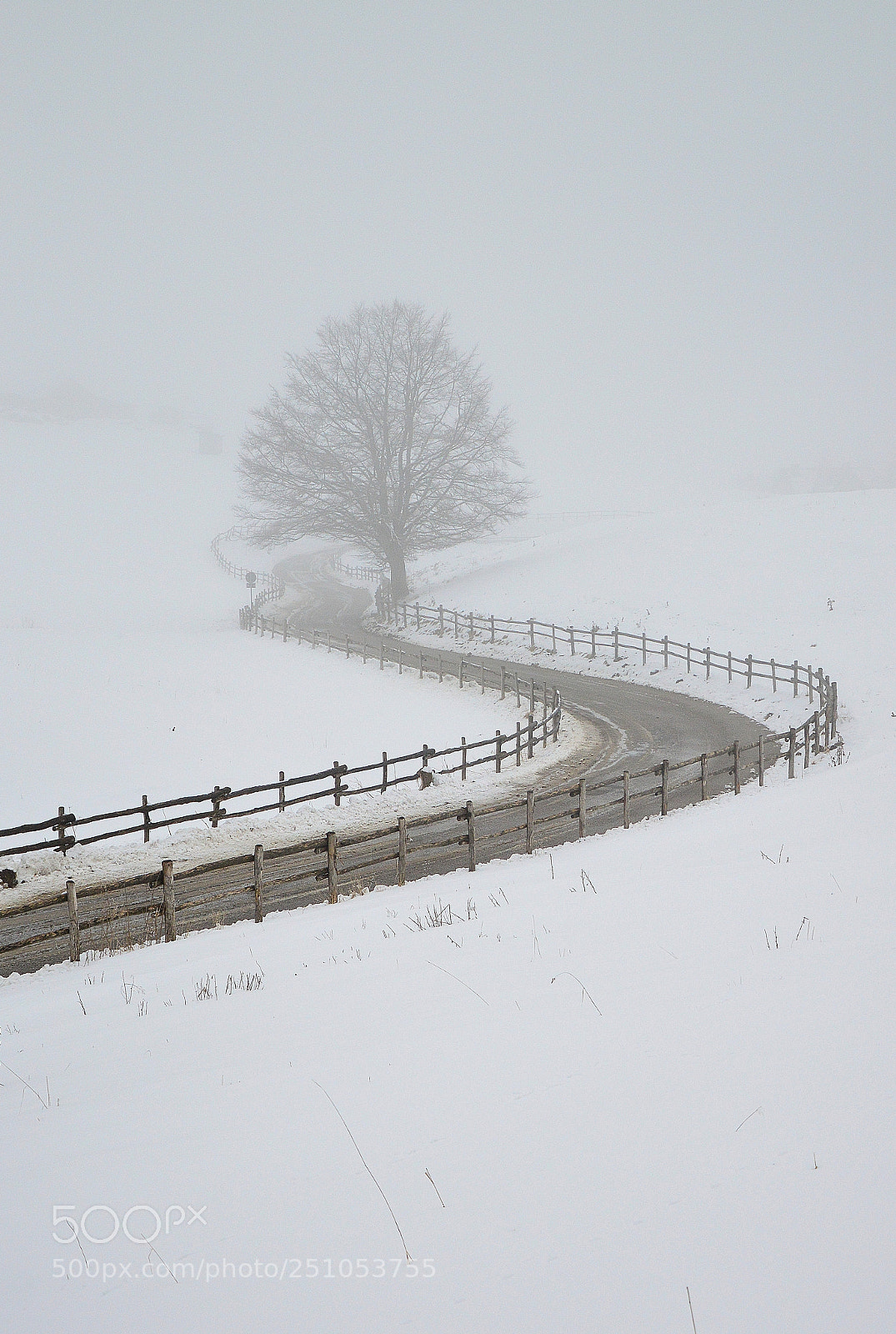 Nikon D3200 sample photo. Inverno 2018 photography