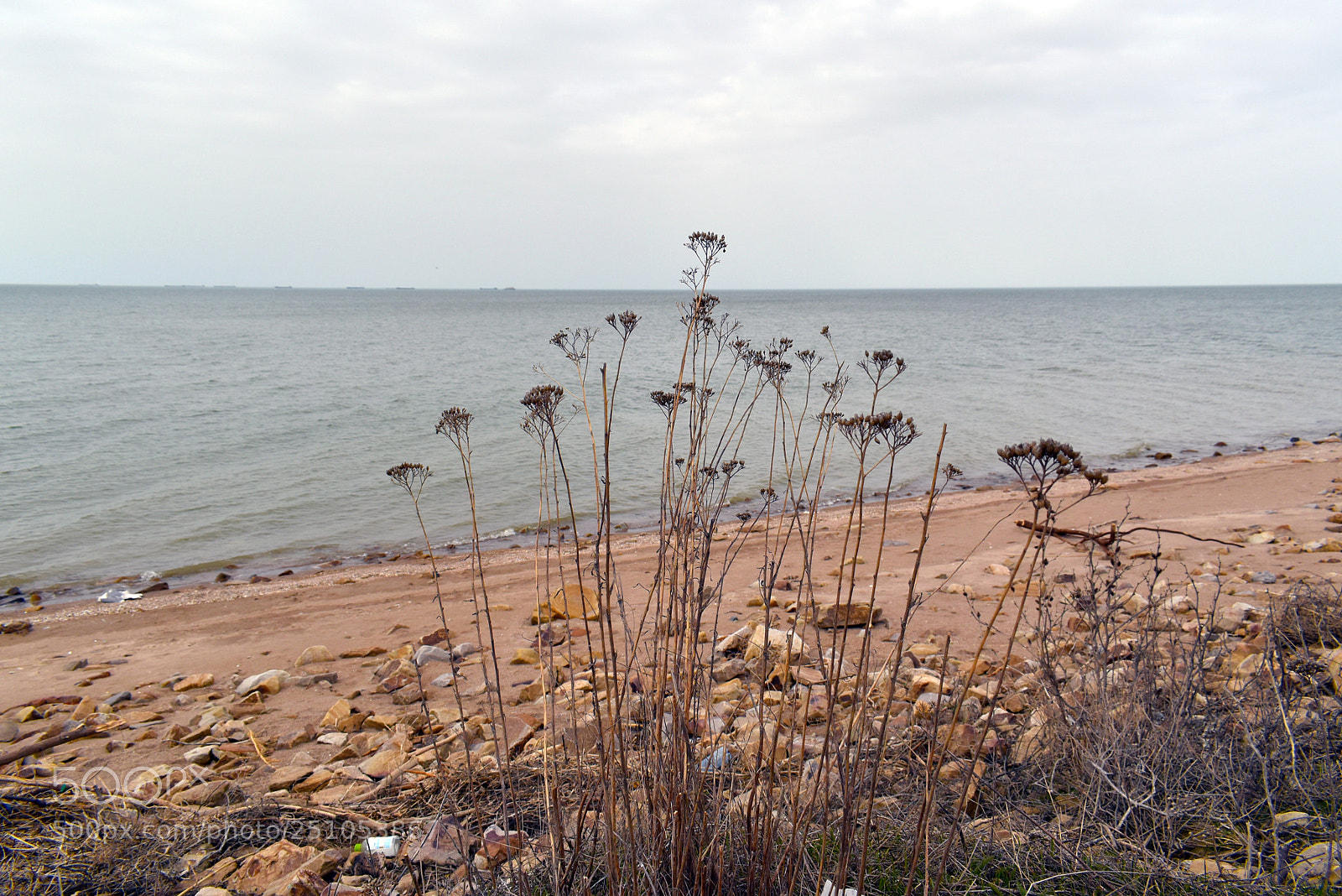 Nikon D5600 sample photo. Пустынный пляж photography