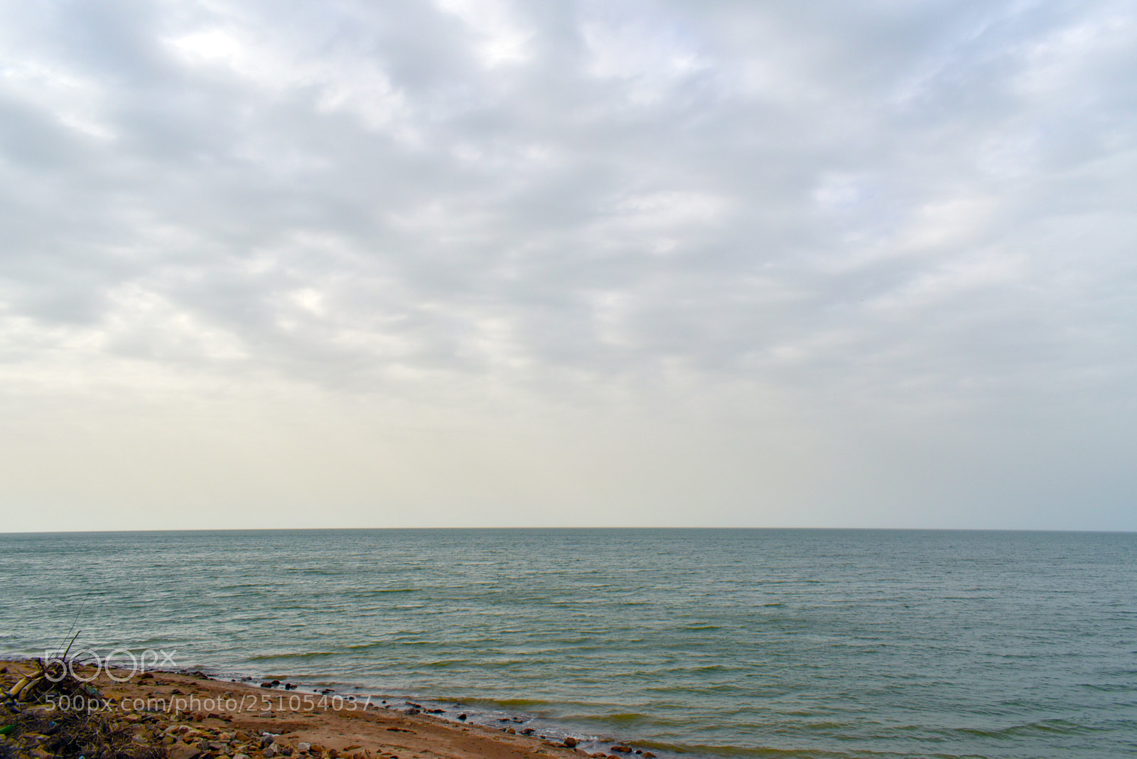 Nikon D5600 sample photo. Пасмурное море photography