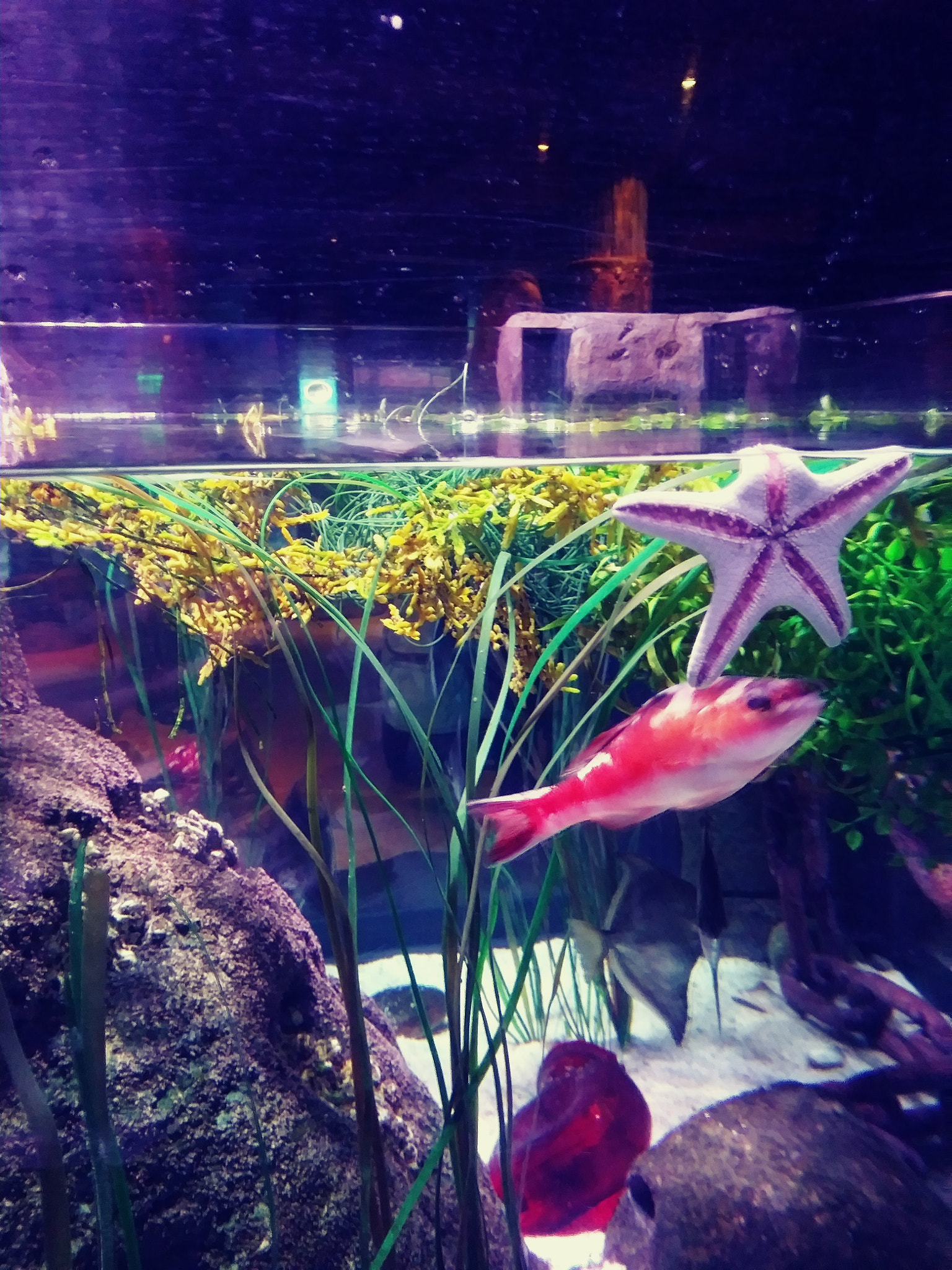 LG ARISTO sample photo