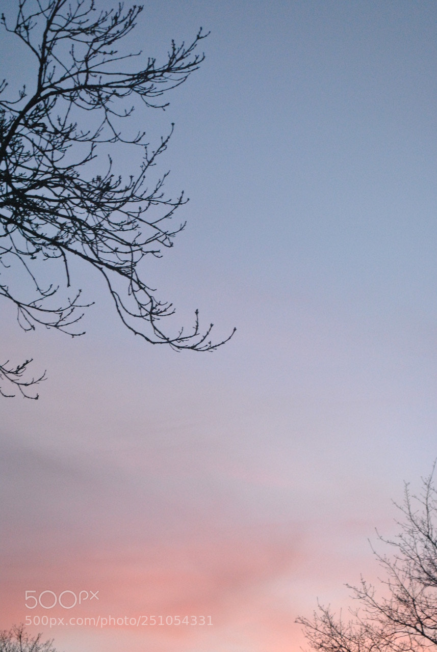 Nikon D3000 sample photo. Sunset photography