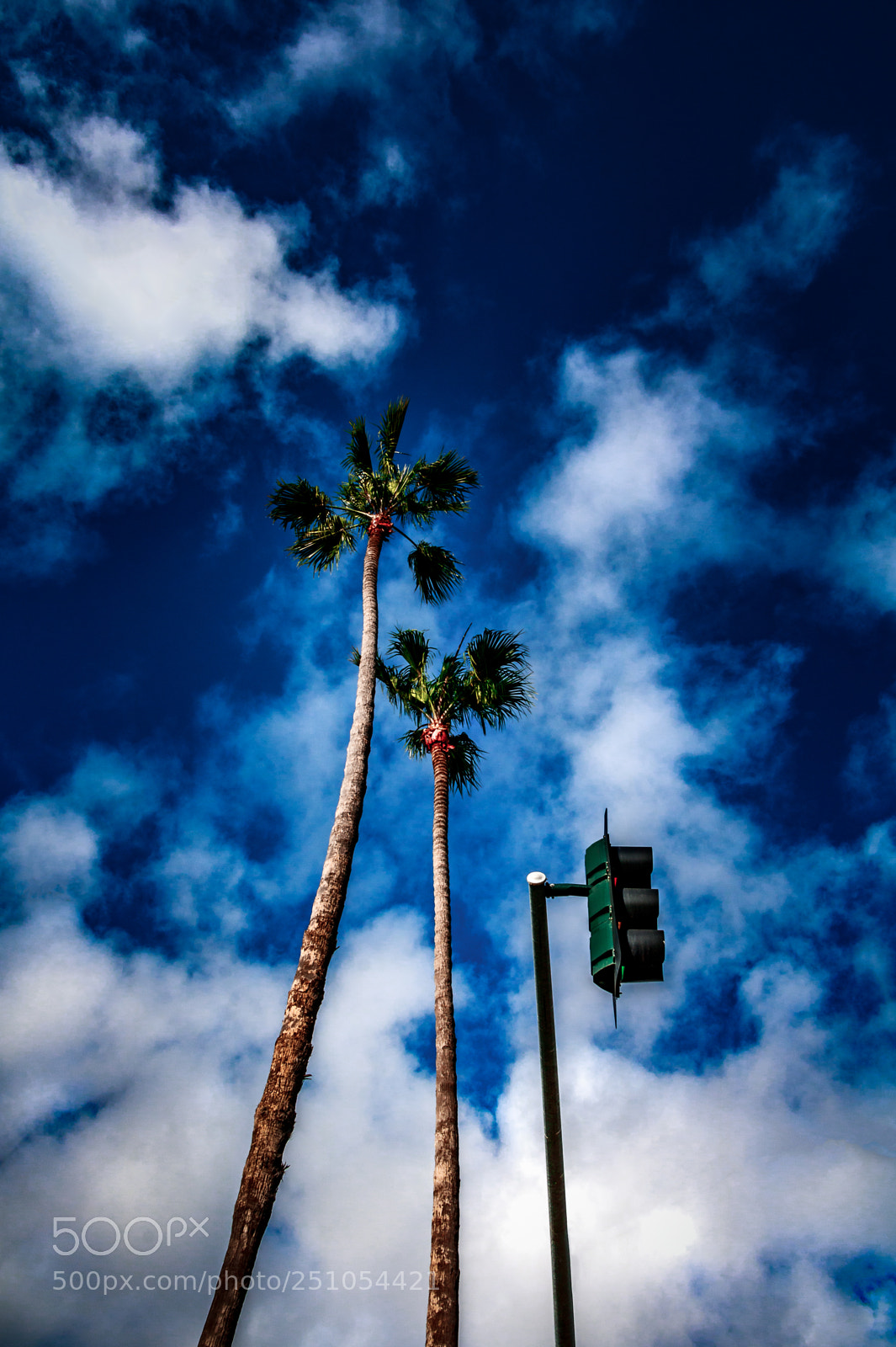 Canon EOS 750D (EOS Rebel T6i / EOS Kiss X8i) sample photo. 2 palms 1 stoplight photography