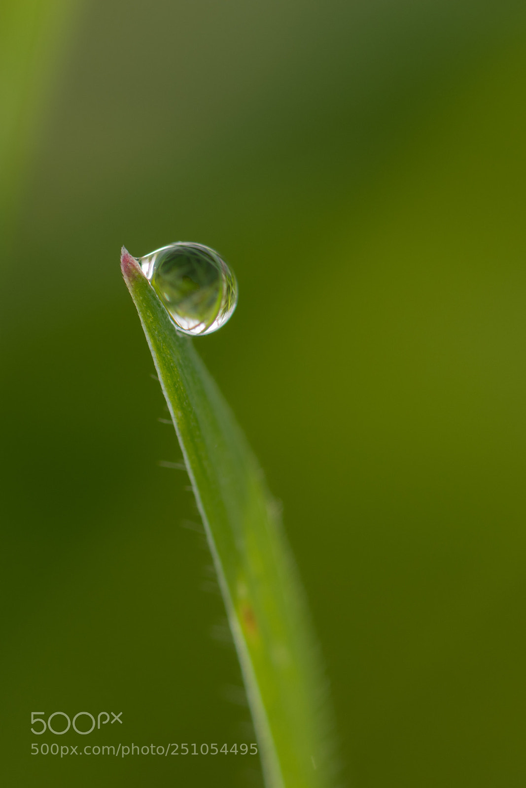 Nikon D5600 sample photo. Go up photography