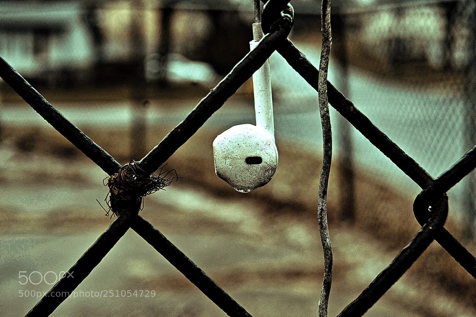 Nikon D3100 sample photo. Fences photography