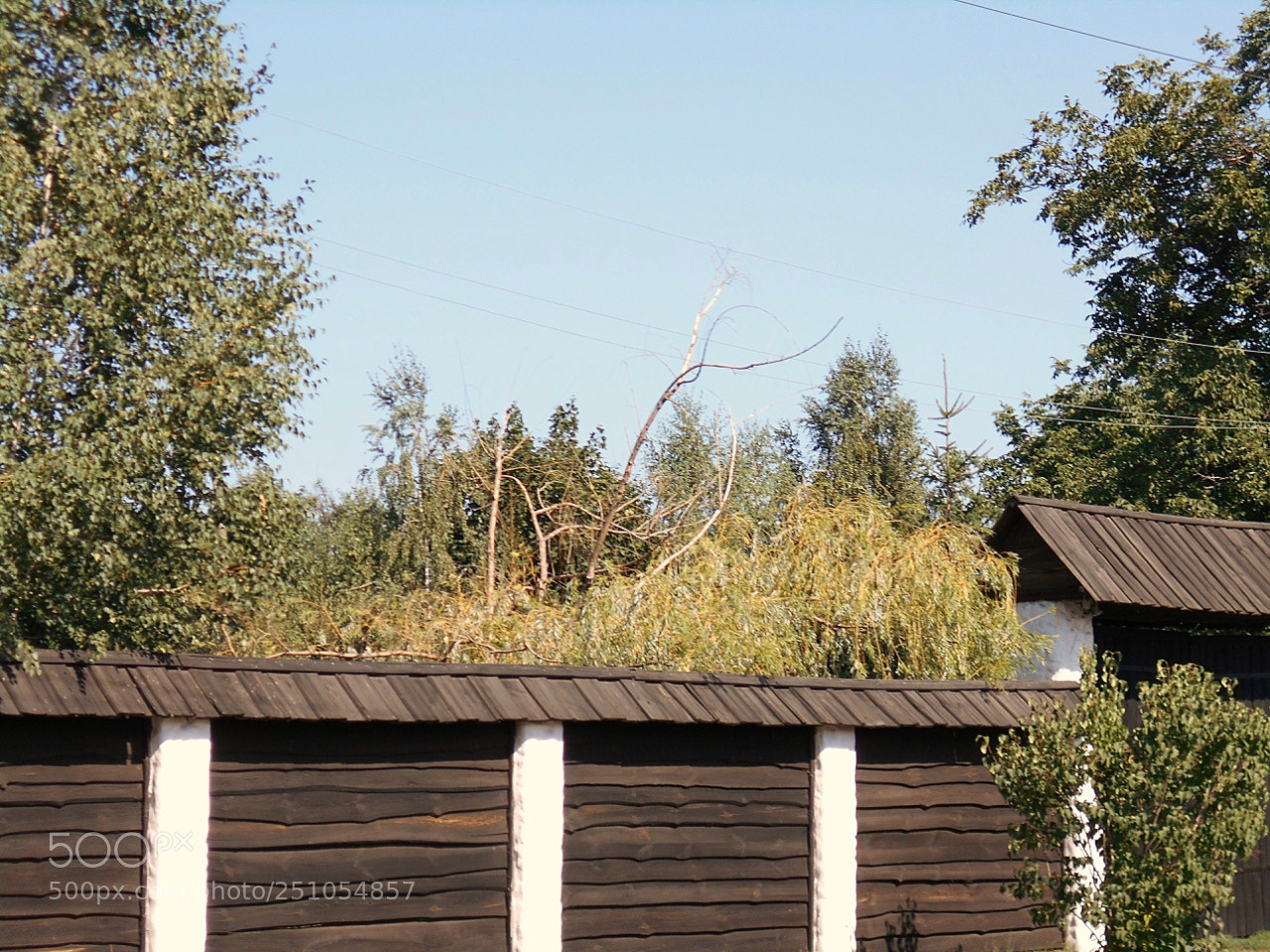Nikon Coolpix A100 sample photo. Ecdcorig photography