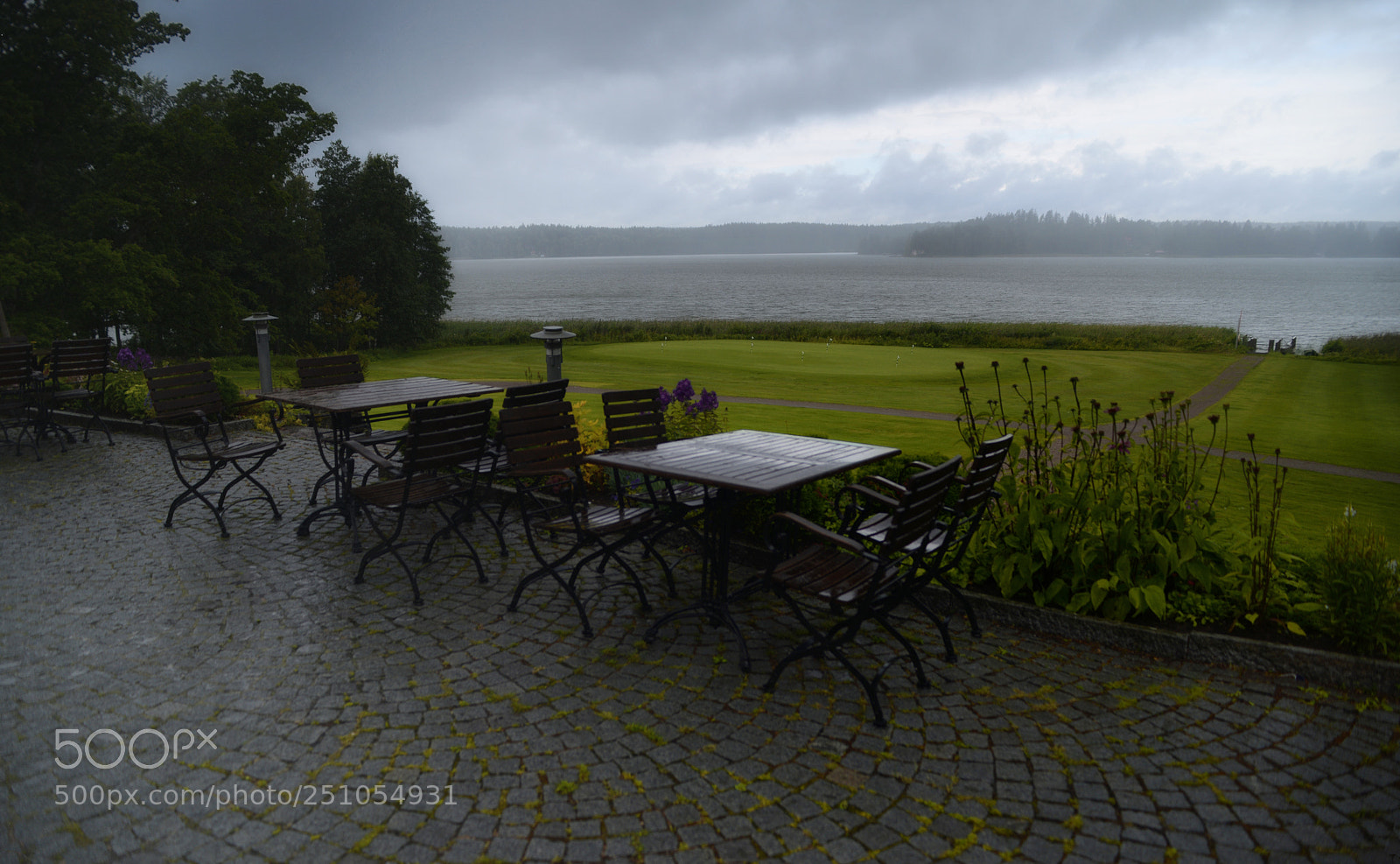 Nikon D600 sample photo. Wetted picnic photography