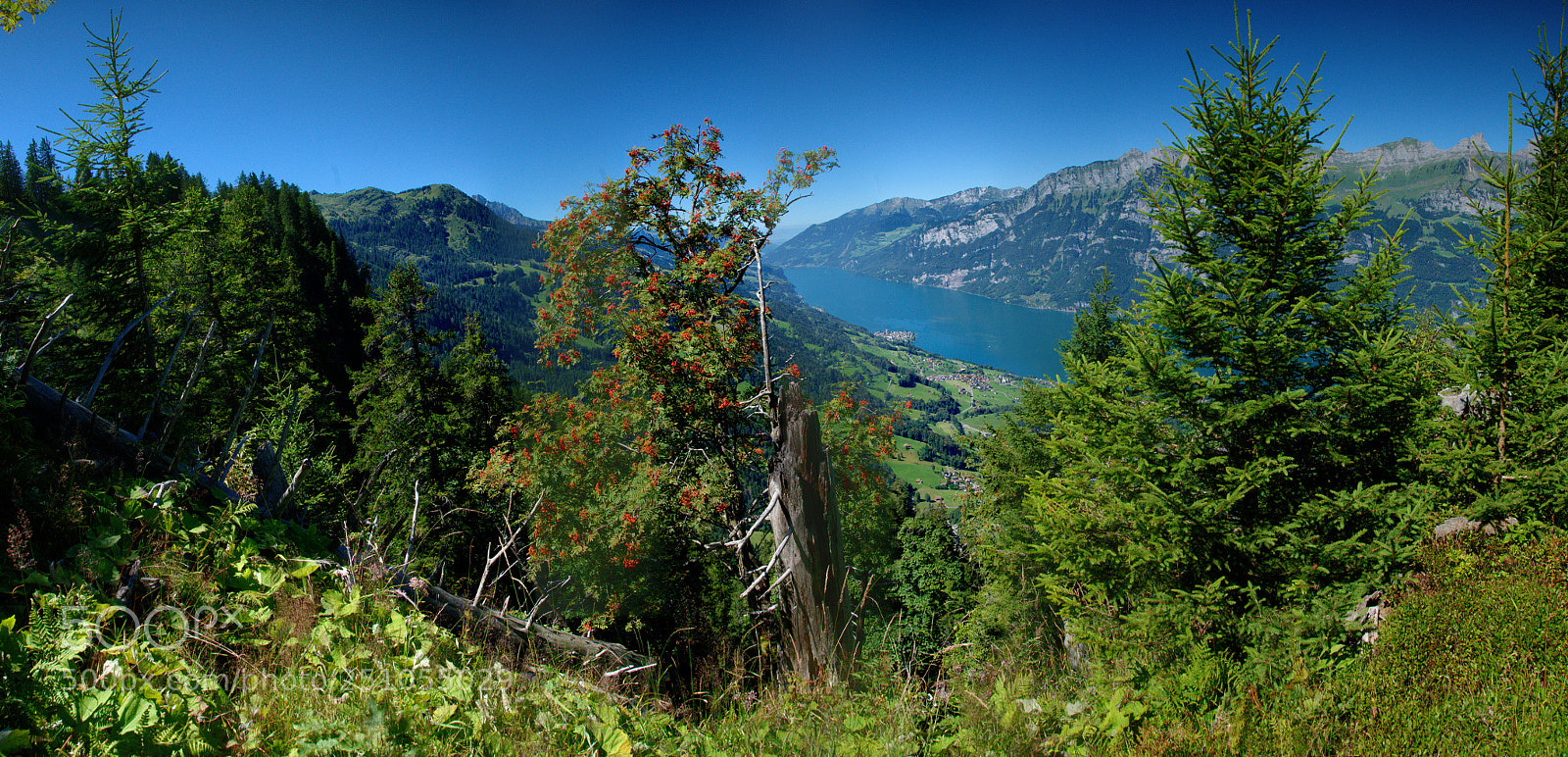 Nikon D300 sample photo. Walensee im herbst photography