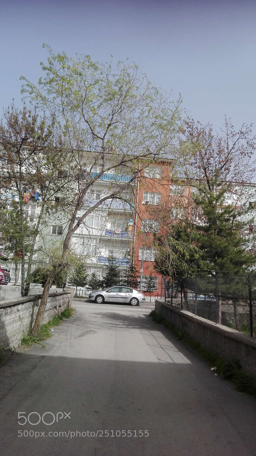 HUAWEI P8 Lite sample photo. Spring in city photography