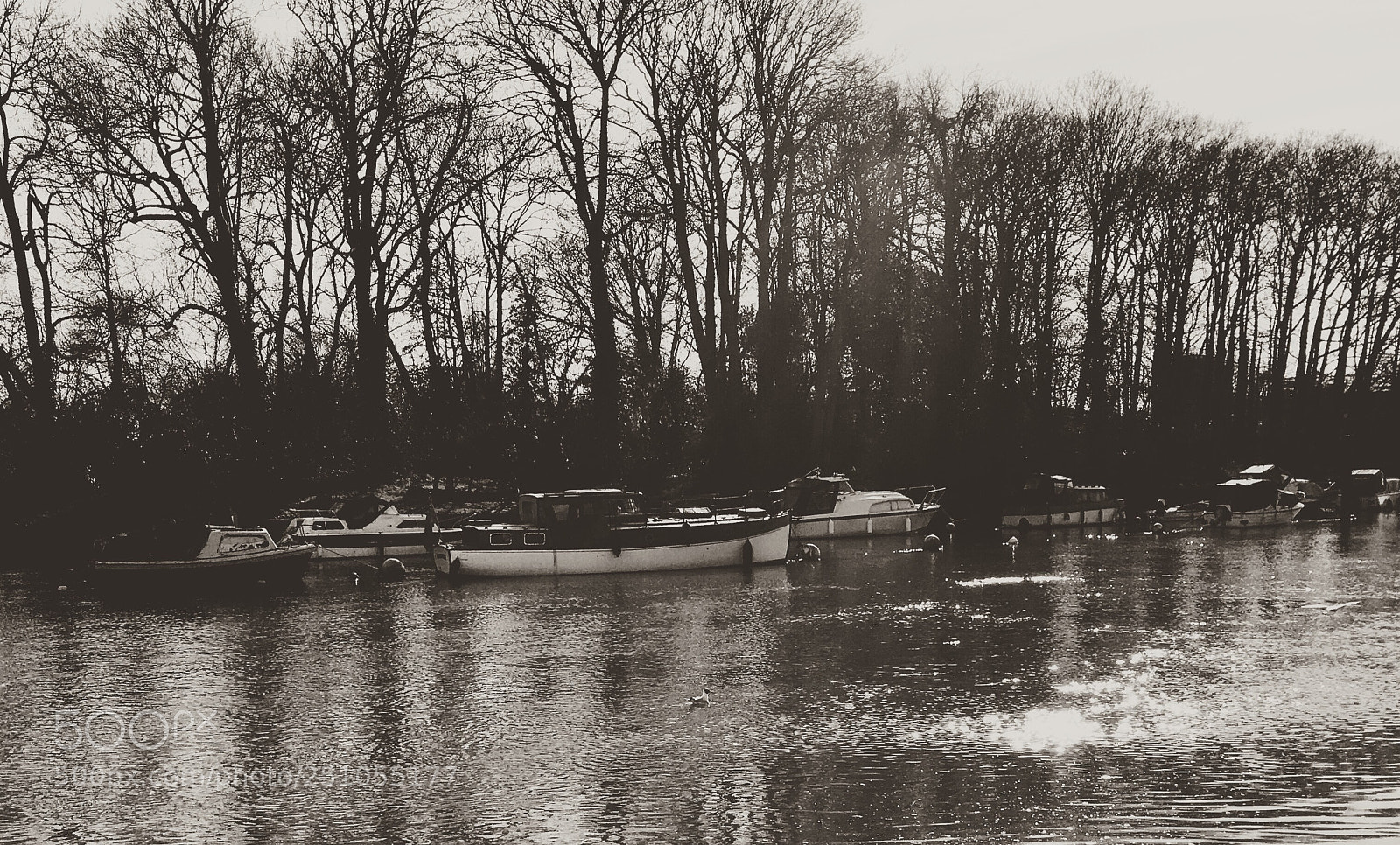 Apple iPhone SE sample photo. Boats moored on the photography