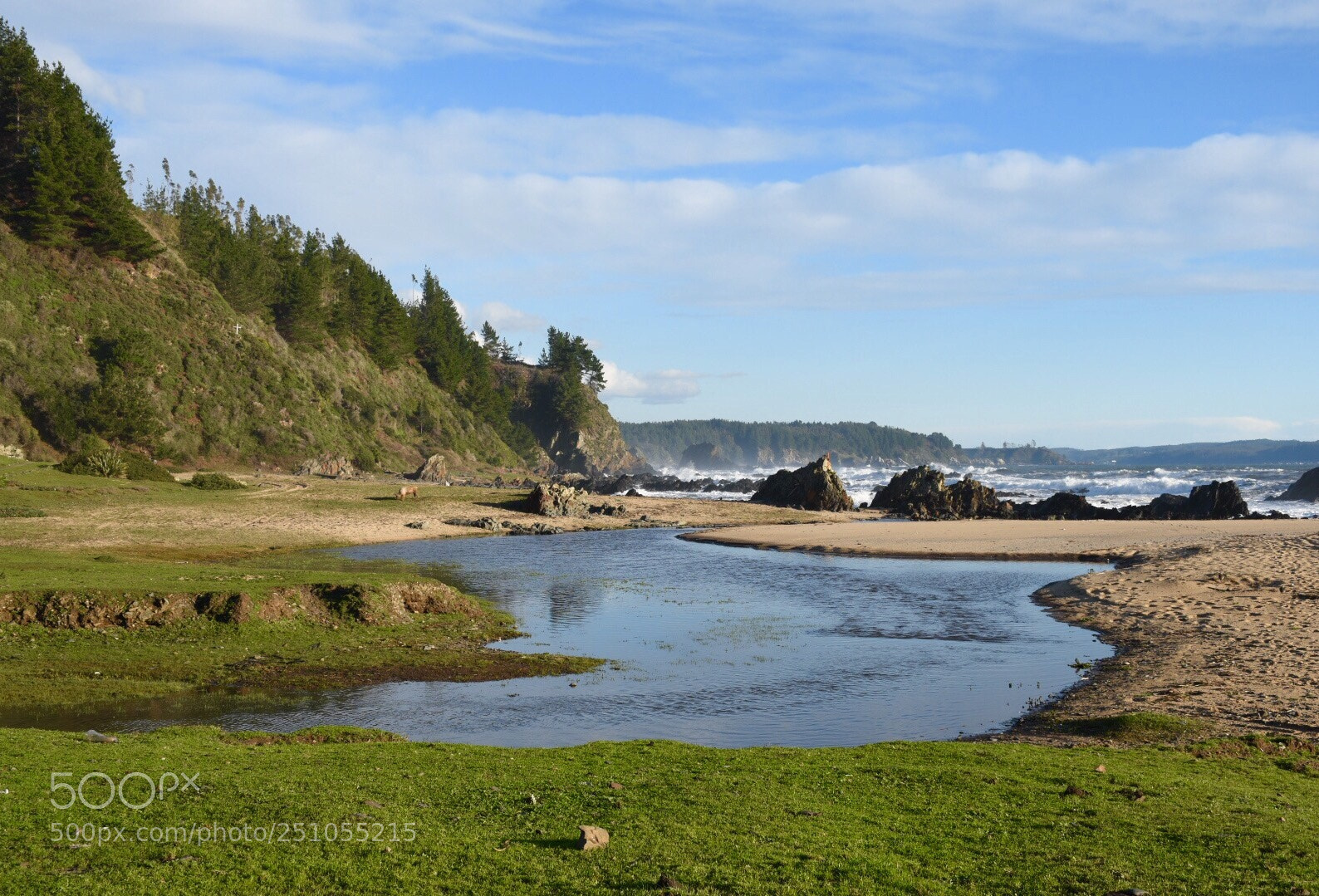 Nikon D5500 sample photo. Playa merquiche, tomé. photography