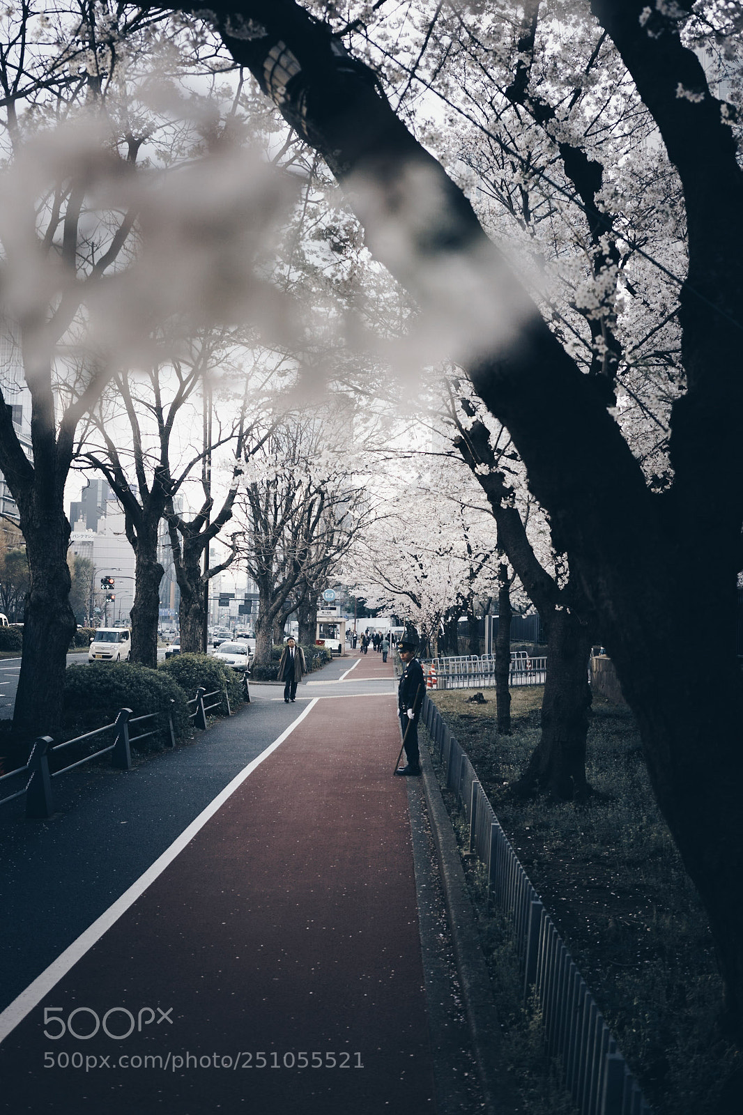 Sony a7R II sample photo. Moody blossom photography