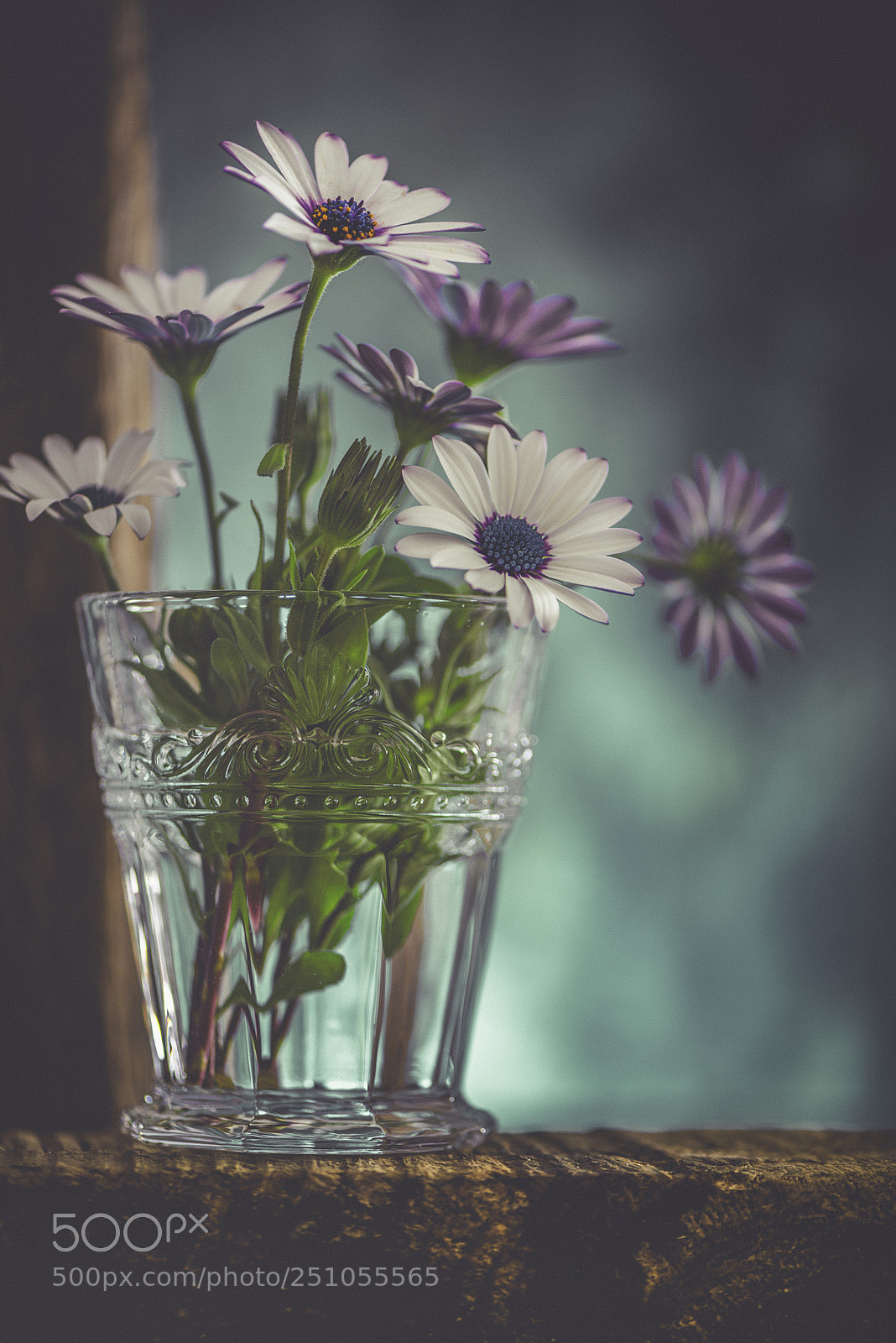 Nikon D600 sample photo. Glass of daisies photography