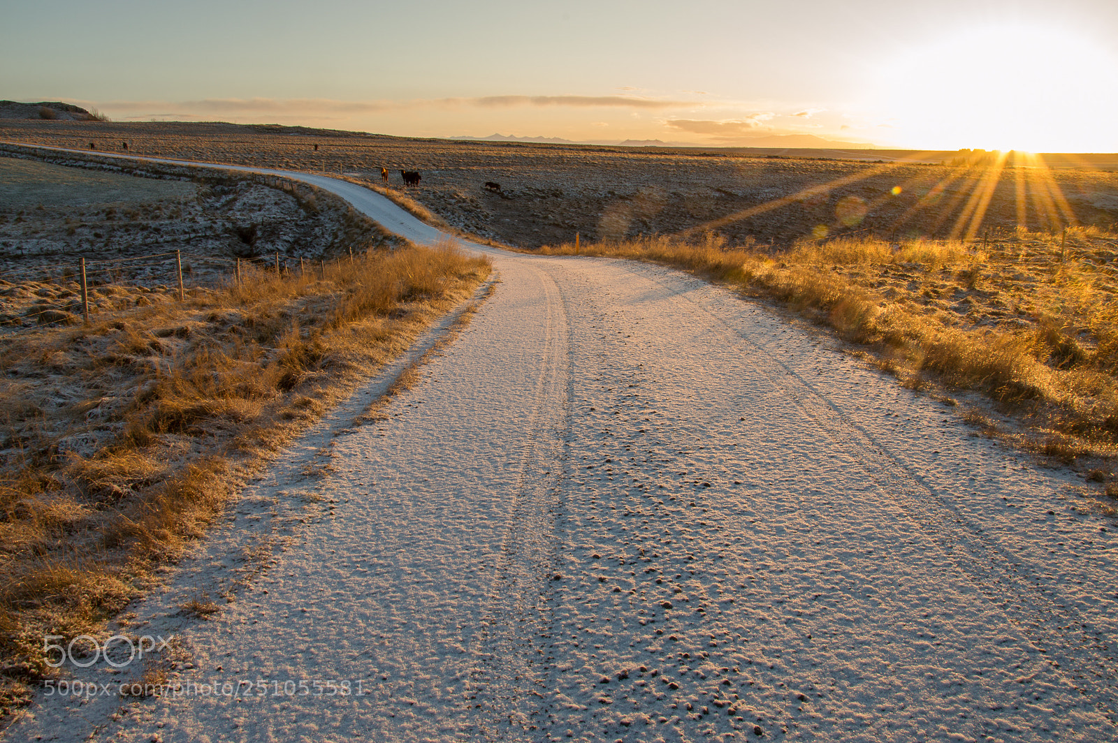 Nikon D3200 sample photo. Freezing sunrise photography