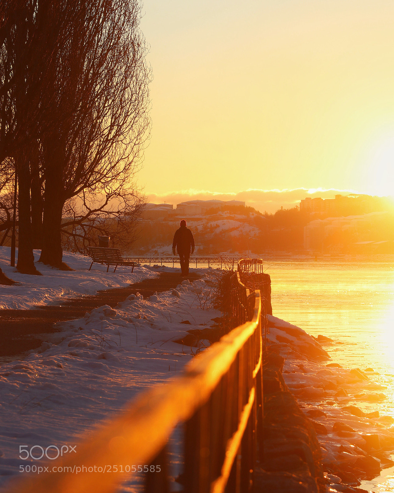 Canon EOS 80D sample photo. Waldemarsudde stockholm sweden... photography