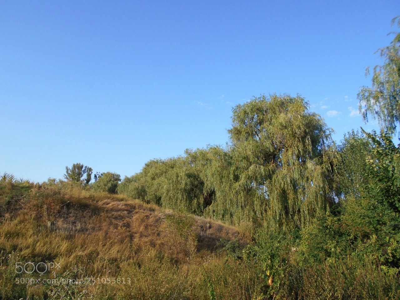 Nikon Coolpix A100 sample photo. Eb fdcf orig photography