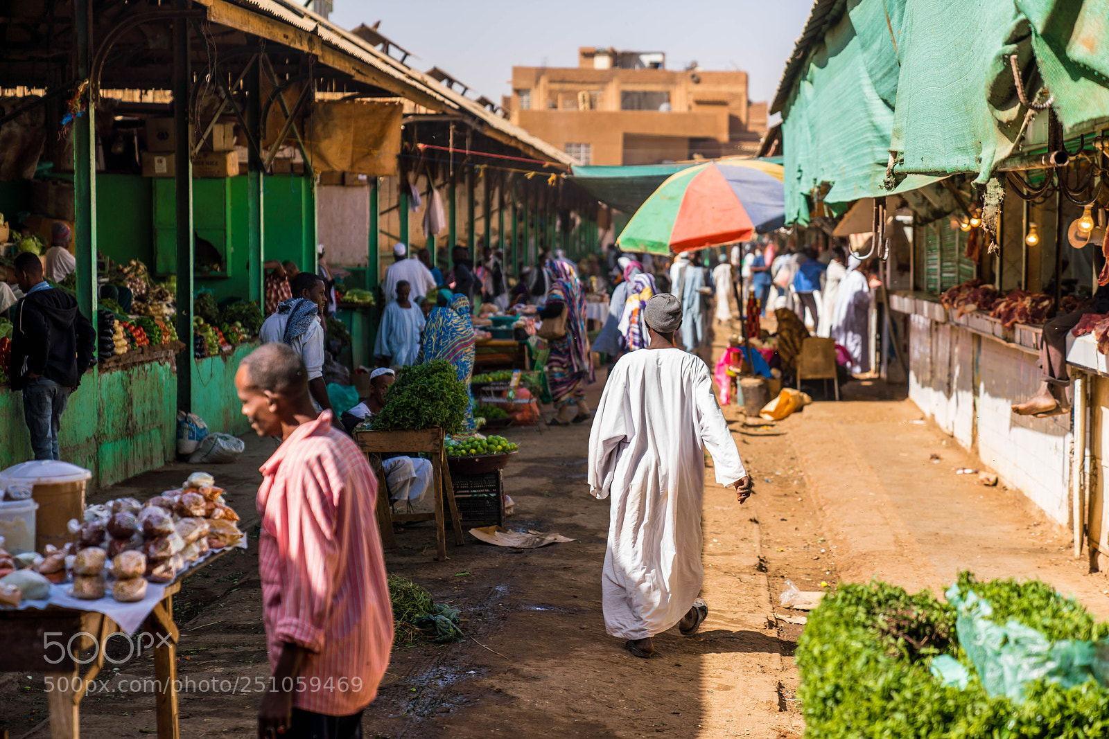 Sony a7R III sample photo. Sudan photography