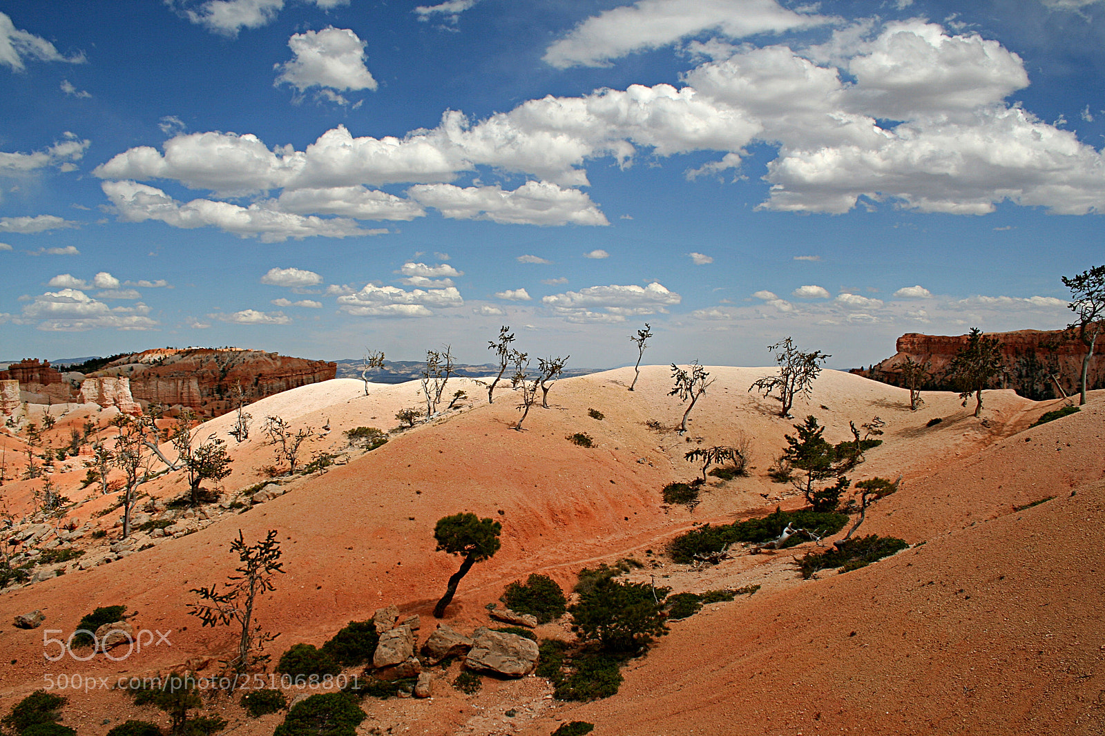 Canon EOS 350D (EOS Digital Rebel XT / EOS Kiss Digital N) sample photo. Bryce canyon, usa photography