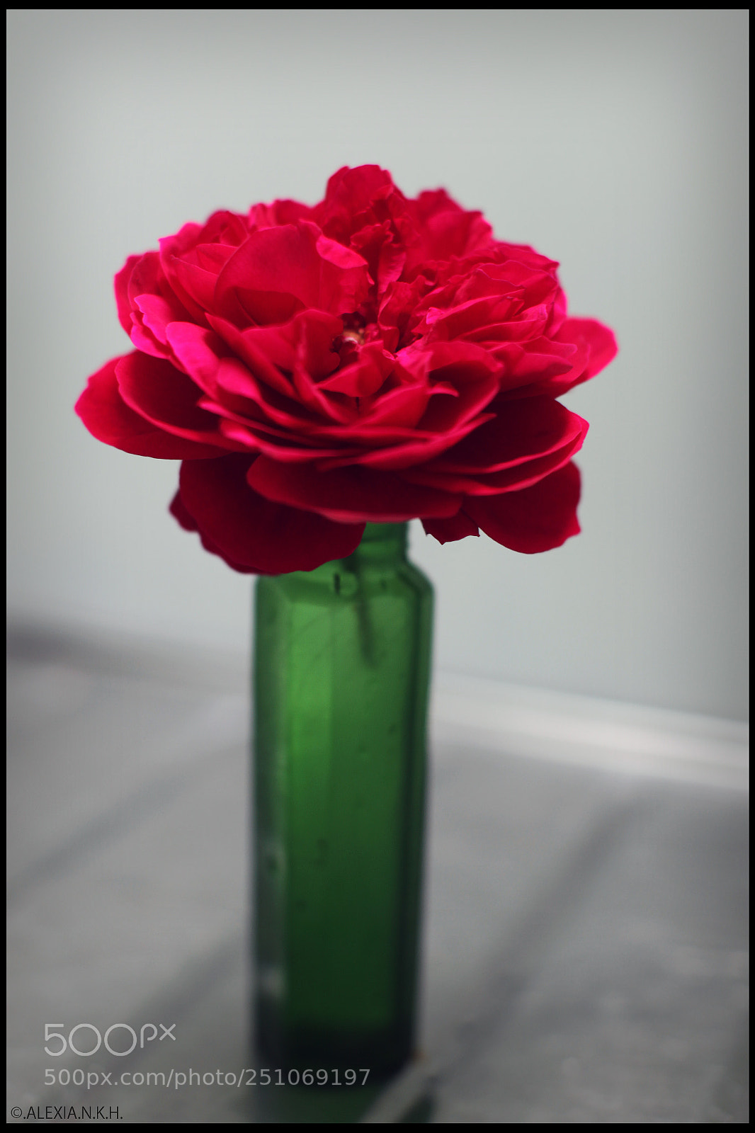 Canon EOS 5D Mark II sample photo. Forlornly red photography