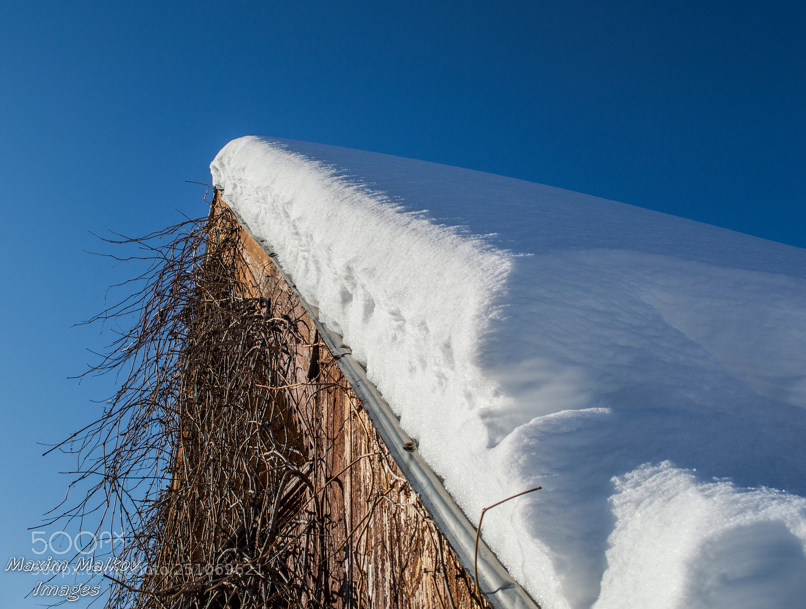 Nikon D3200 sample photo. 72 photography