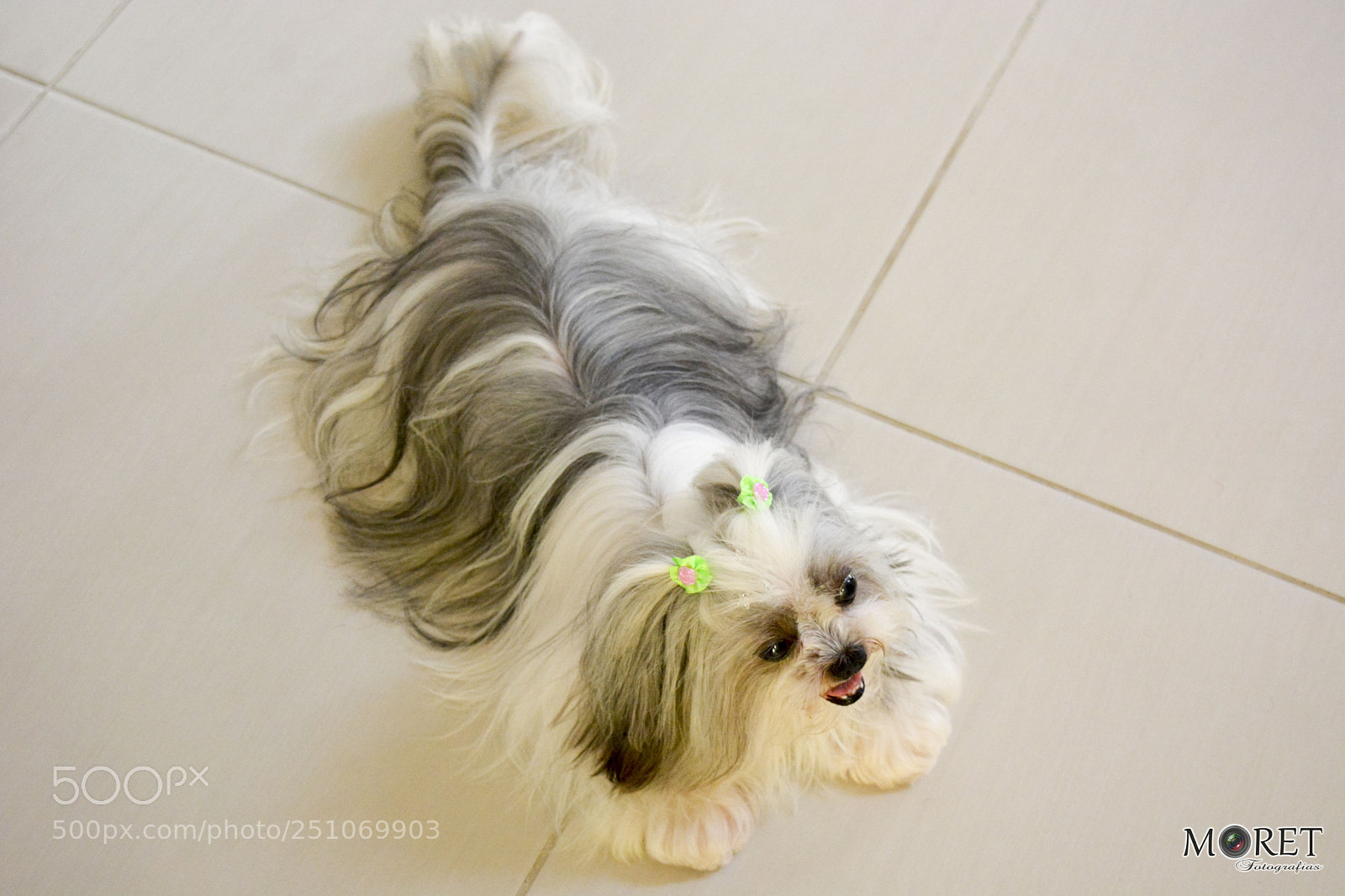 Nikon D7100 sample photo. Hanna photography