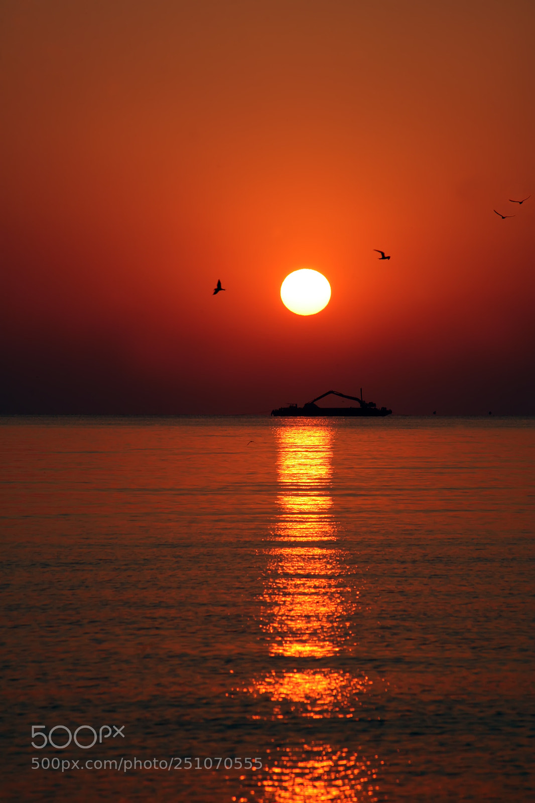 Canon EOS 5D sample photo. Morning near the sea photography