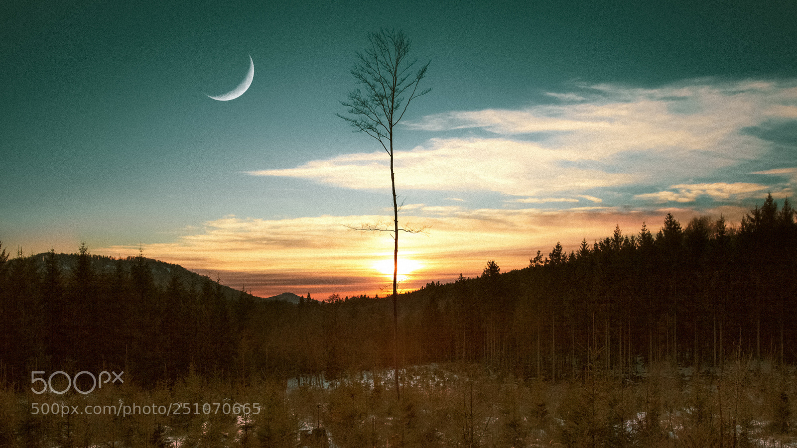 Canon EOS 5D Mark II sample photo. .. photography