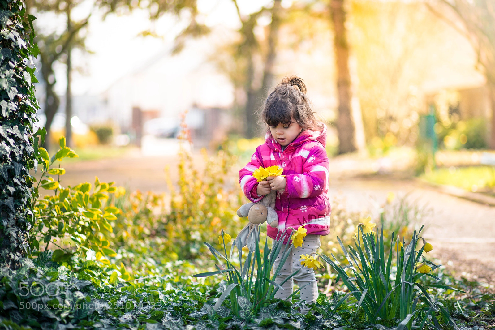 Canon EOS 5D Mark IV sample photo. Spring is back photography