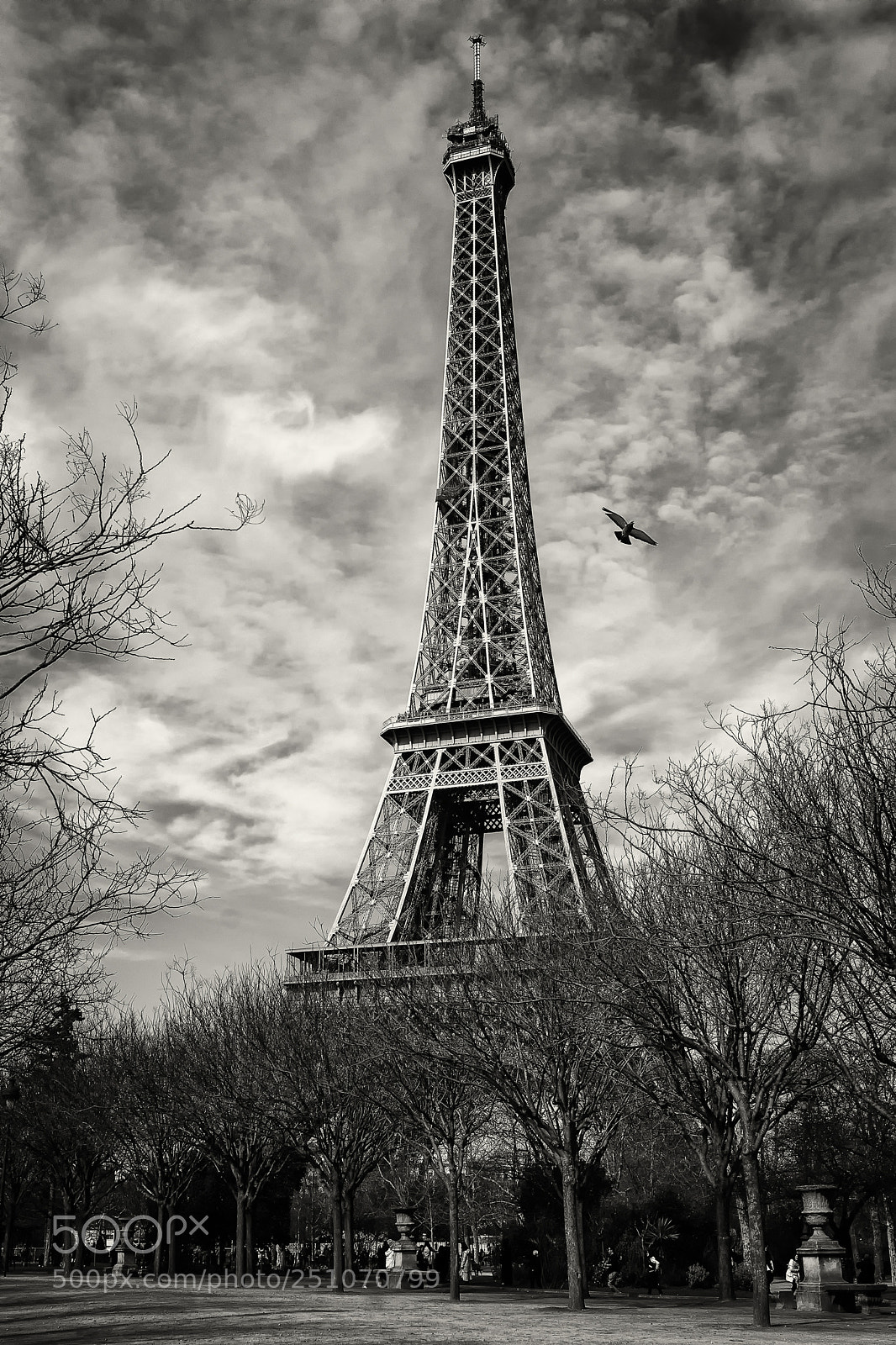 Nikon D610 sample photo. Paris photography