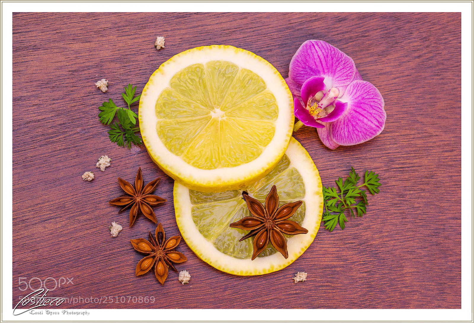 Nikon D610 sample photo. Fresh colors photography