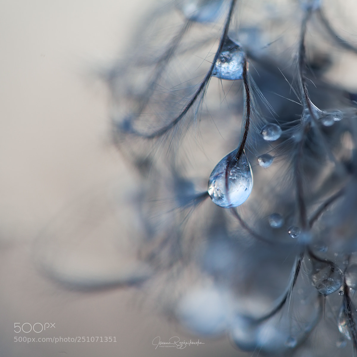 Canon EOS 5D Mark II sample photo. Lonely sorrows photography