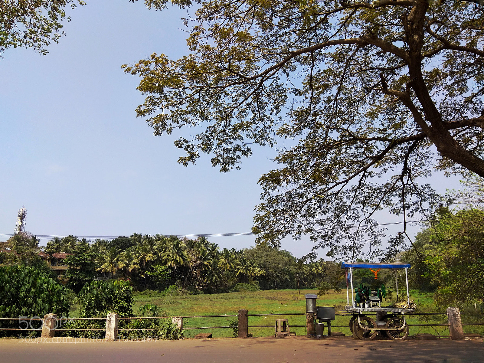 Xiaomi Redmi Note 4 sample photo. Img_20180215_125627-01.jpeg photography