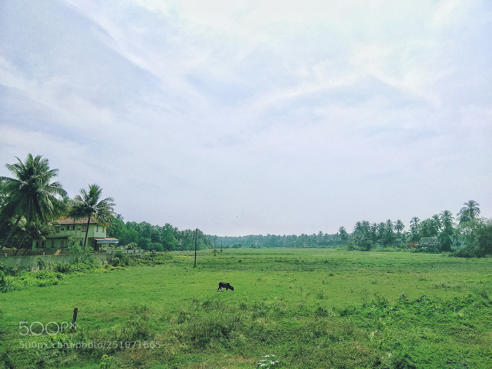 Xiaomi Redmi Note 4 sample photo. Img_20180215_125649-01.jpeg photography