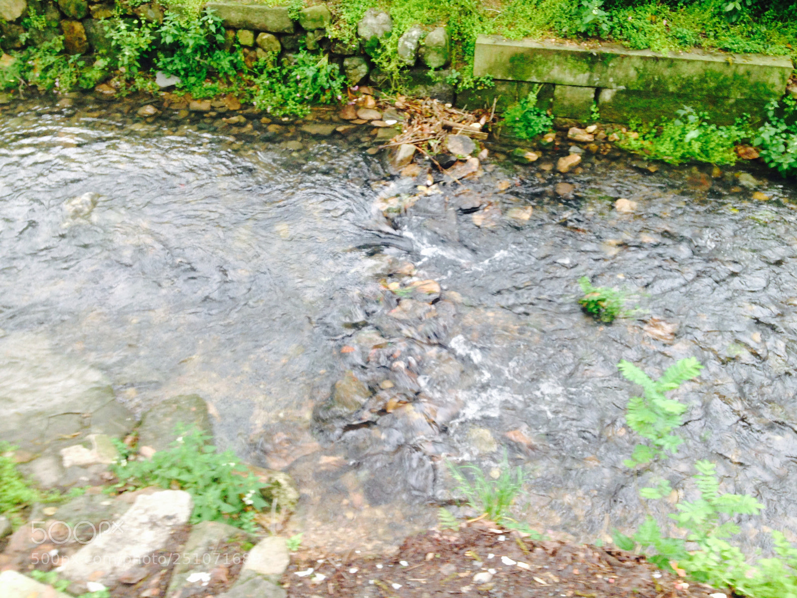 Apple iPhone 5c sample photo. River photography