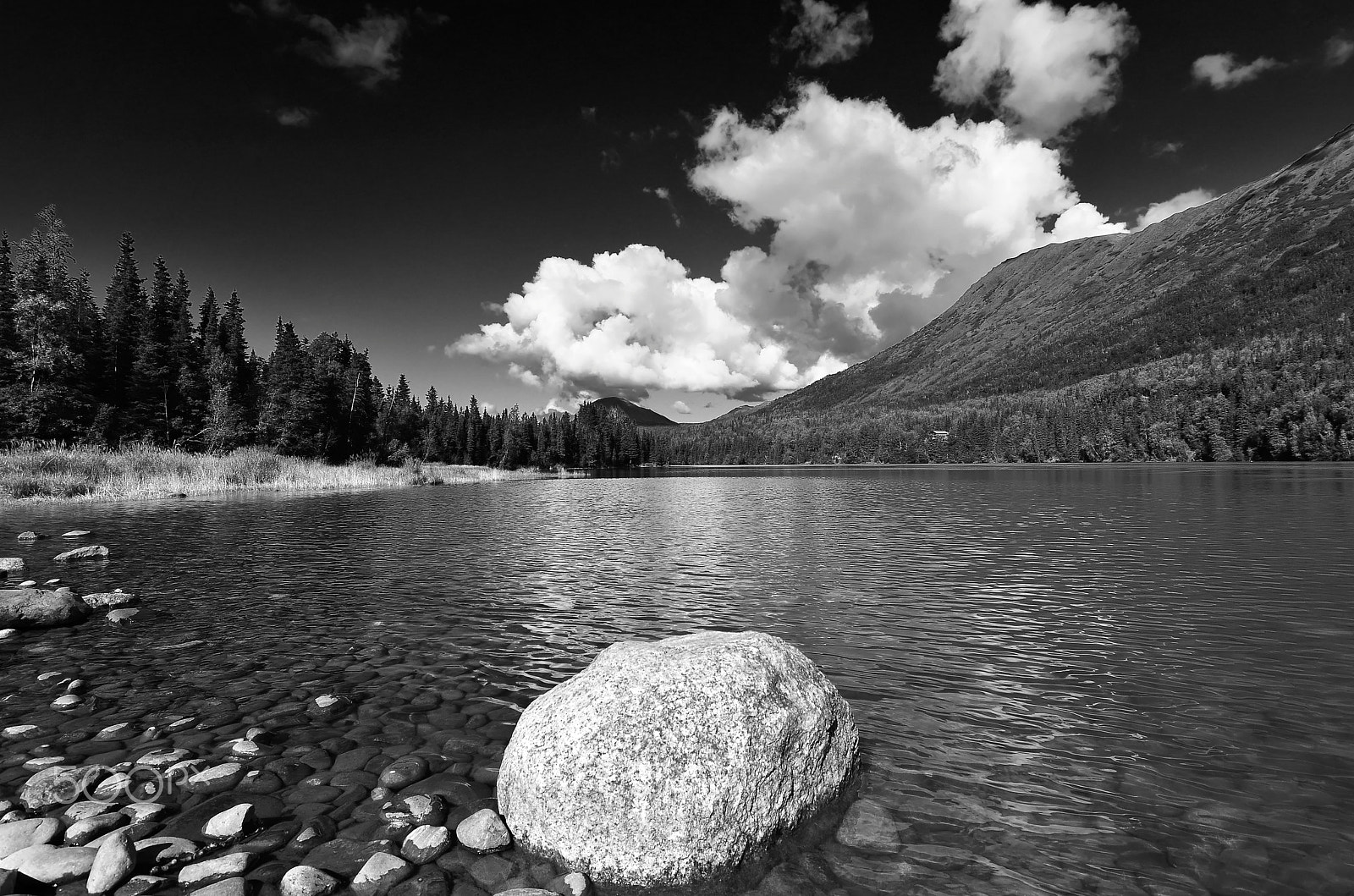 Nikon D7000 sample photo. Kenai lake photography