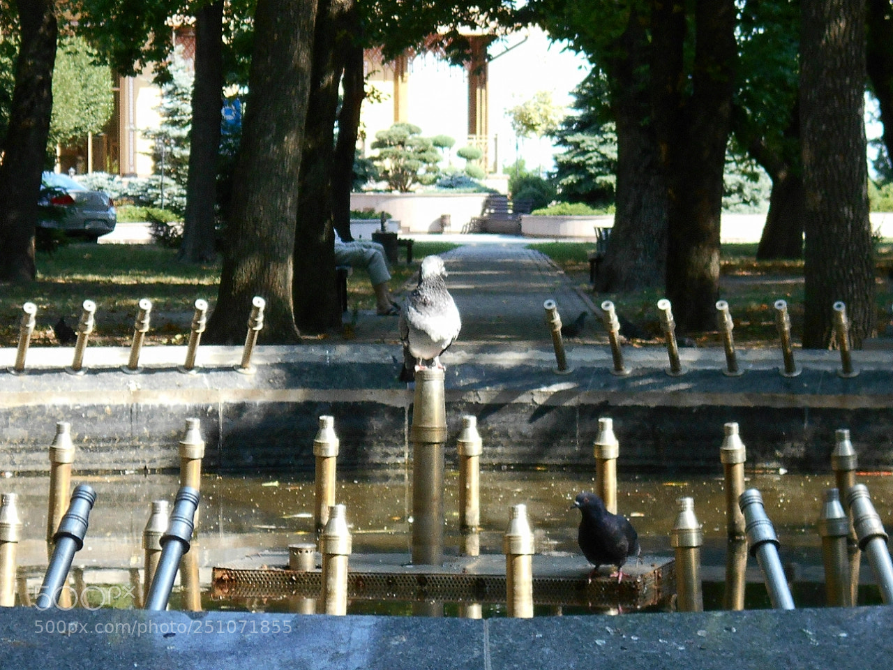 Nikon Coolpix A100 sample photo. Eb fbforig photography