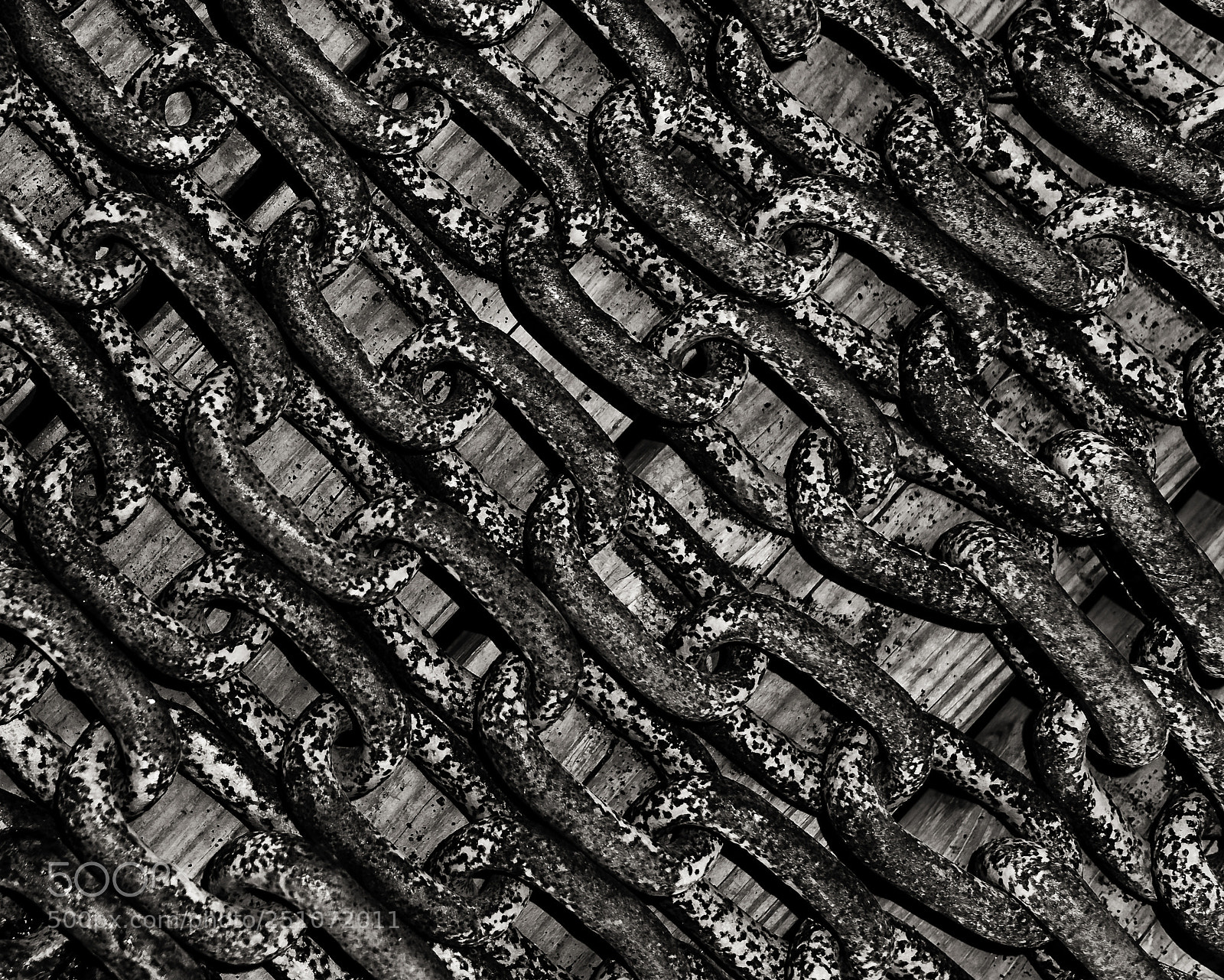 Nikon D800 sample photo. Chains that bind photography