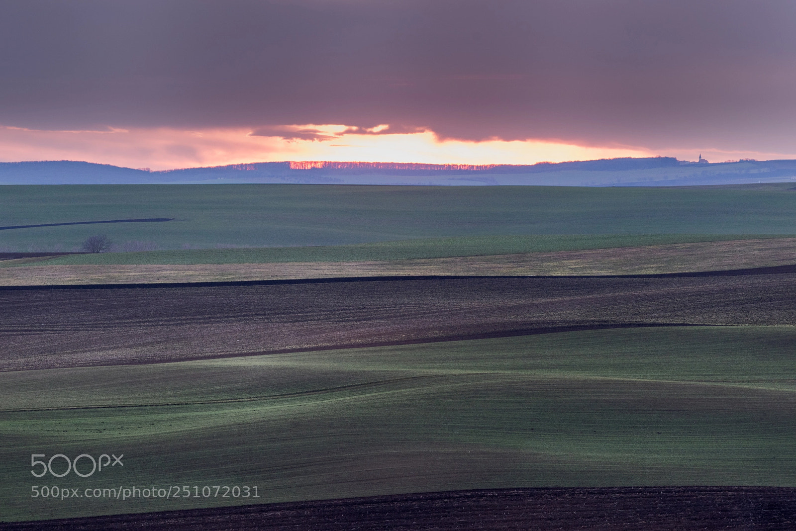 Nikon D810 sample photo. South moravia sunset photography