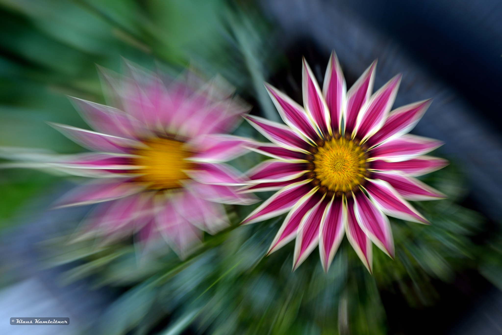 Nikon D5200 sample photo. Zoomart photography