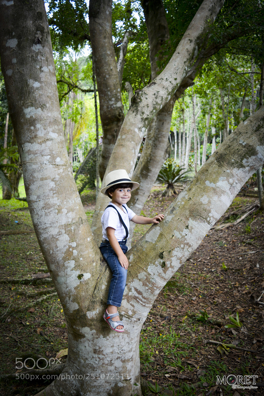 Nikon D7100 sample photo. Henrique - ensaio 3 anos photography