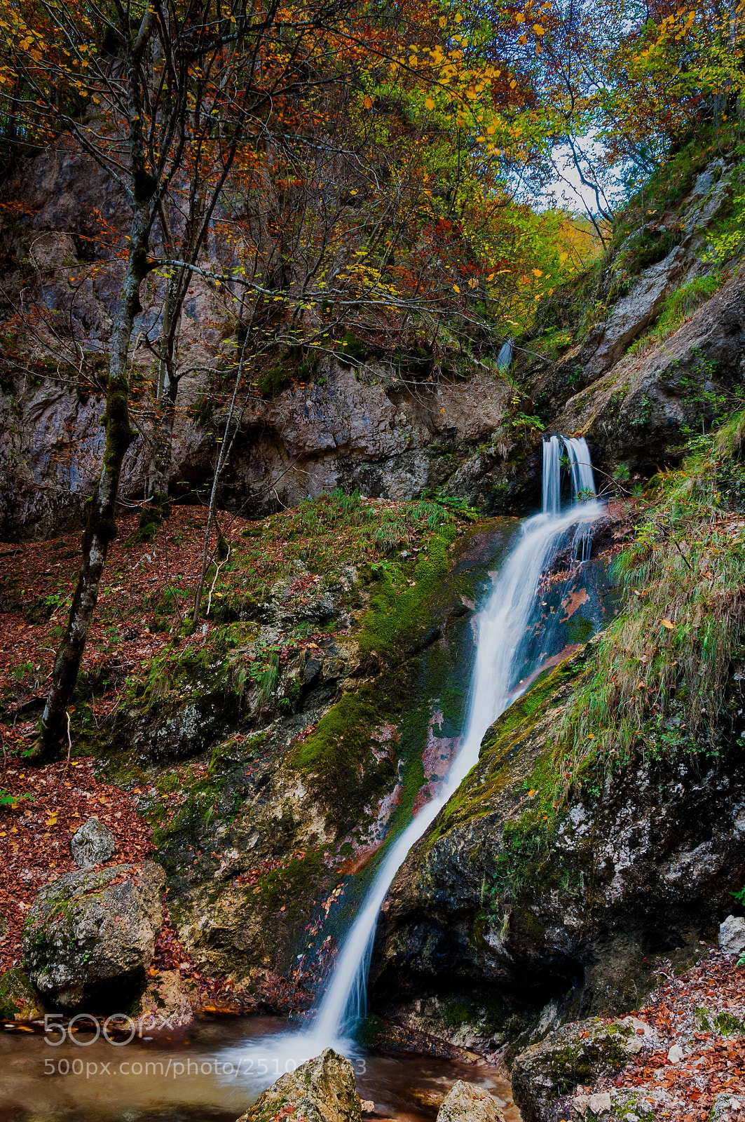Nikon D90 sample photo. Riserva naturale la camosciara photography