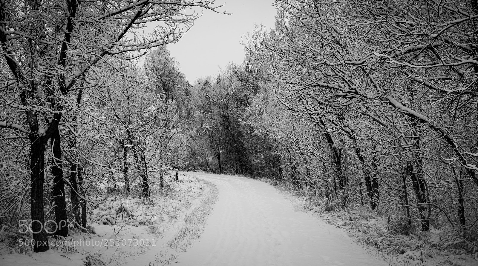 Sony a7R II sample photo. Snowy trail photography