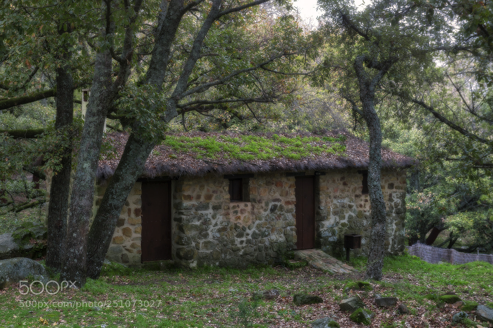 Nikon D850 sample photo. La sauceda iii photography