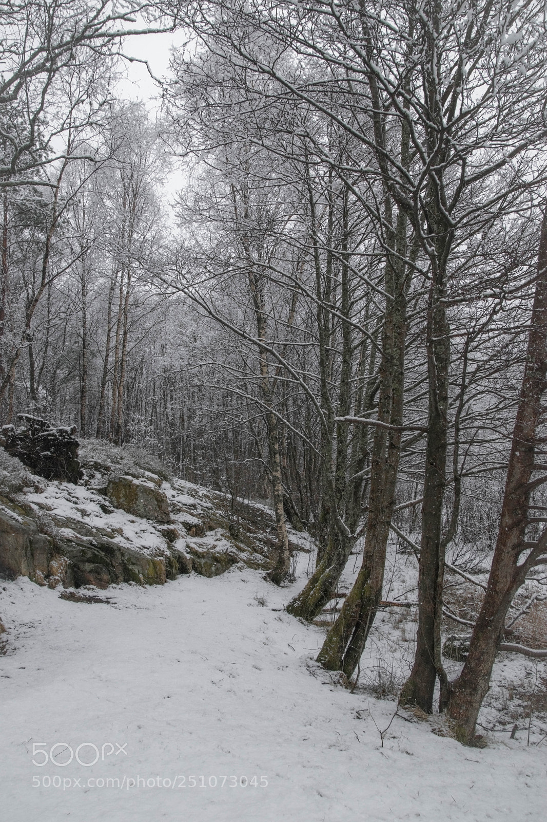 Nikon D5300 sample photo. Today's weather photography