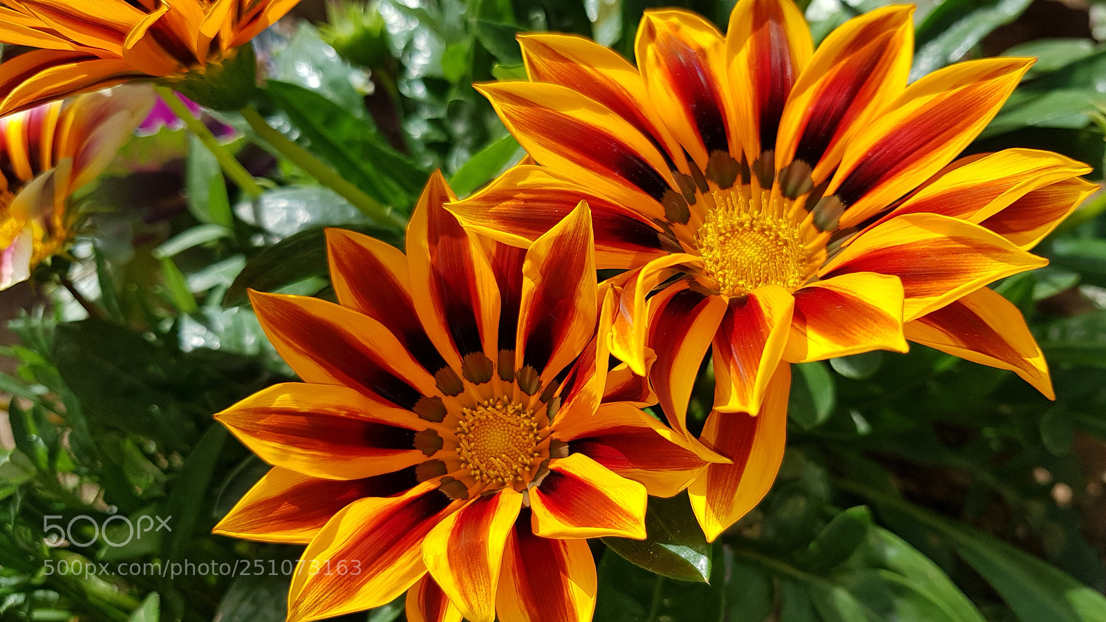 Samsung Galaxy S8+ sample photo. Untitled photography