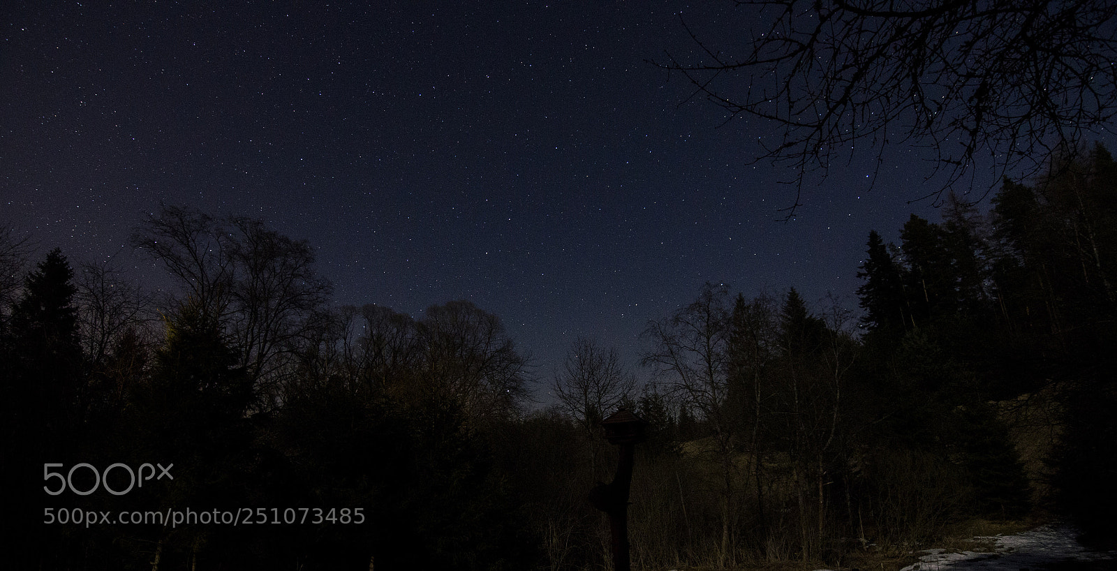 Nikon D7000 sample photo. Star sky photography