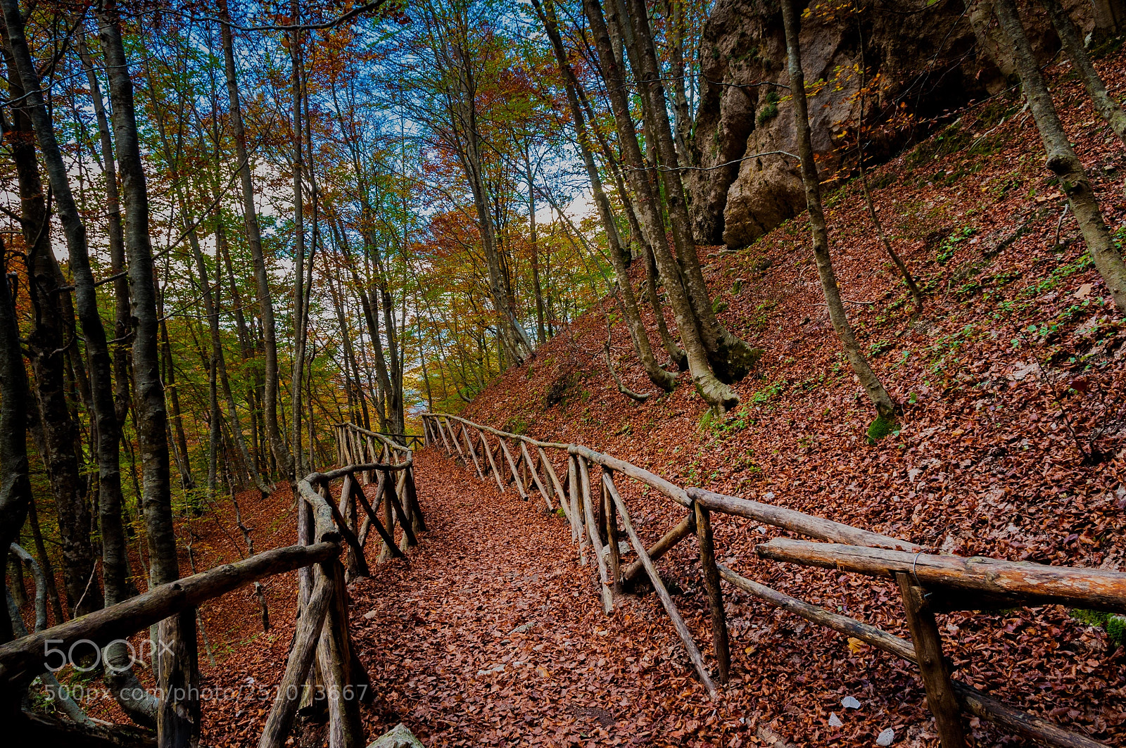 Nikon D90 sample photo. Riserva naturale la camosciara photography