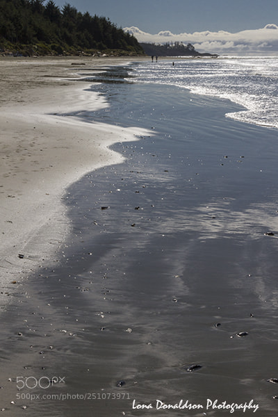 Canon EOS 7D sample photo. Img photography