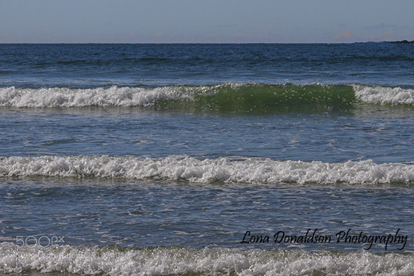 Canon EOS 7D sample photo. Img abc photography